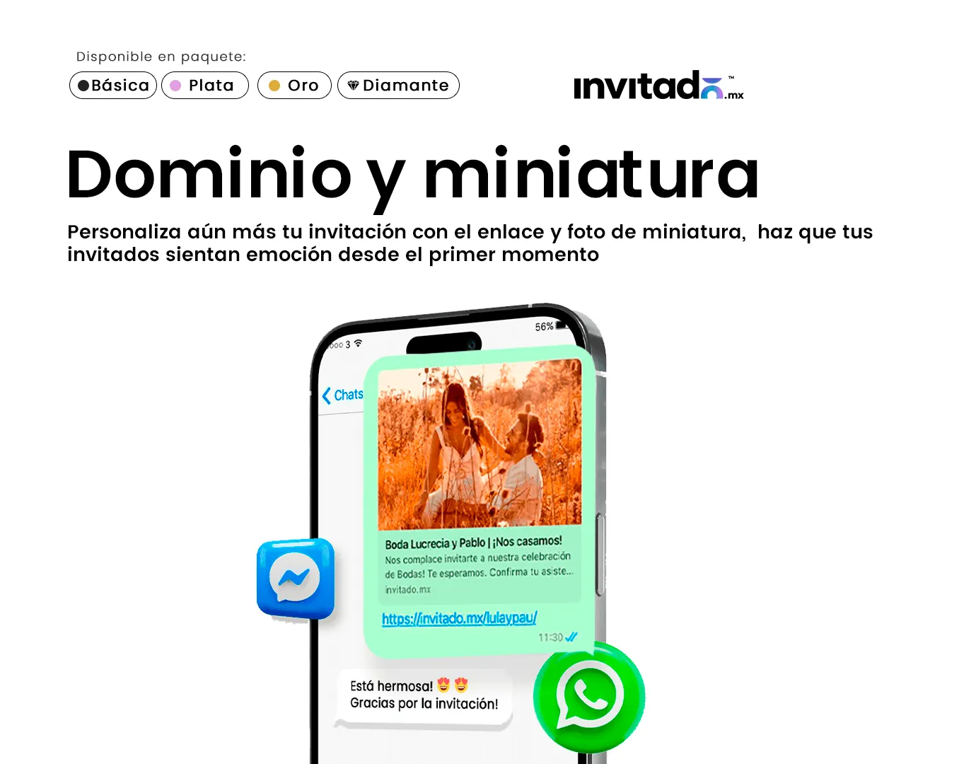 Enlace y miniatura_18_11zon